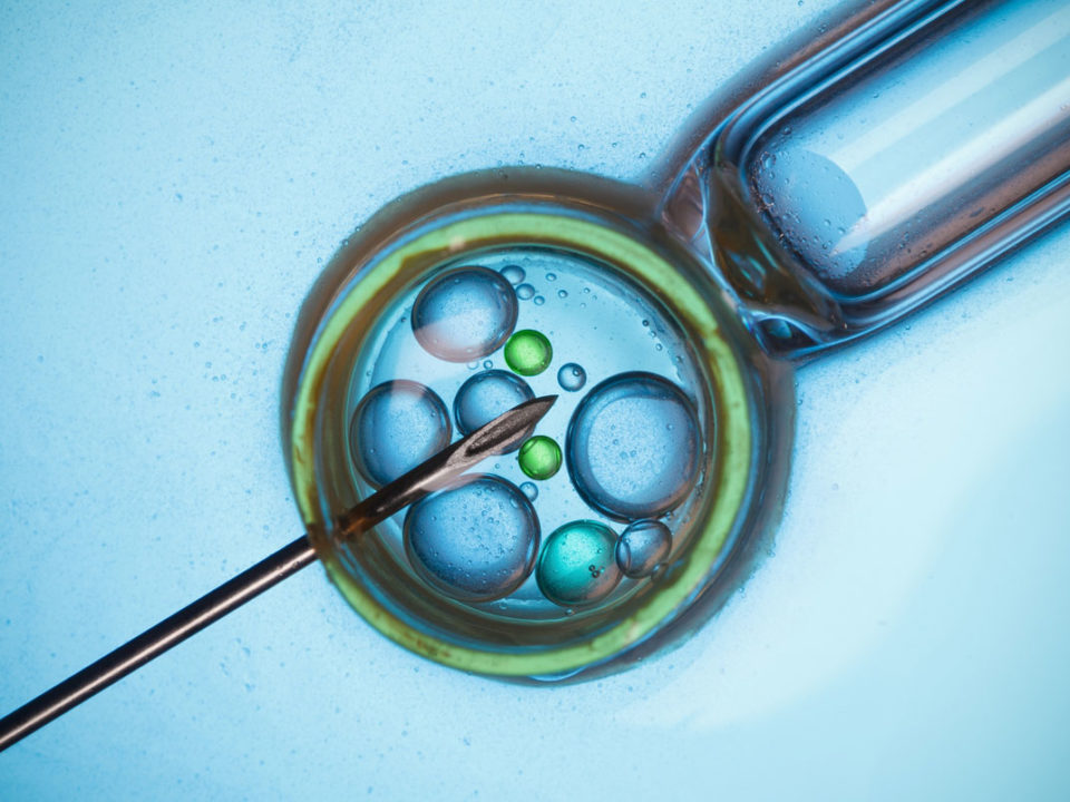 Tecnicas de reproduccion asistida