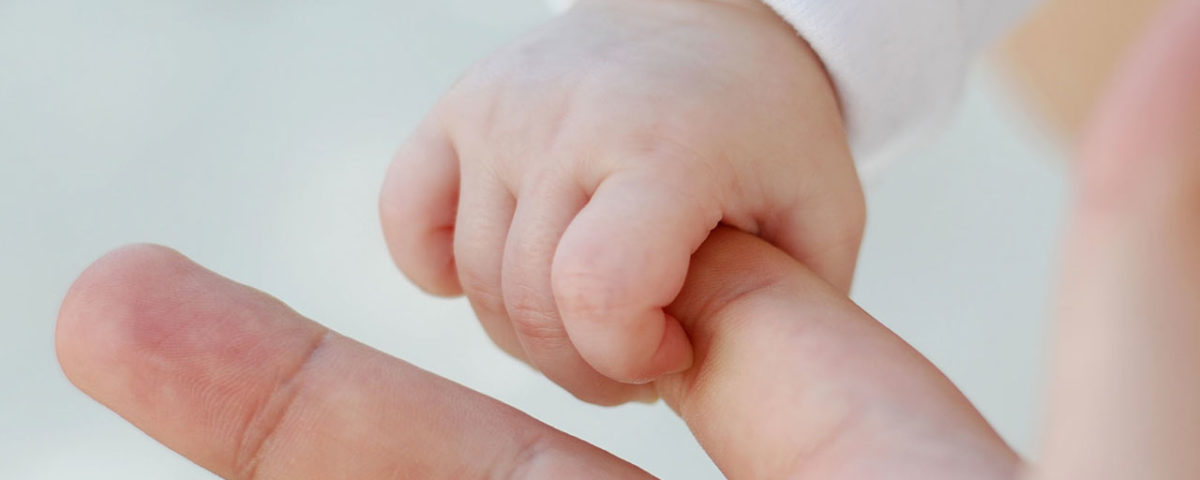 Programa de adopción de embriones