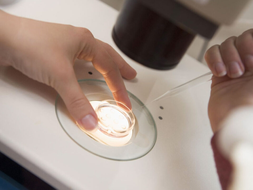 Preservar tu fertilidad ante el cáncer