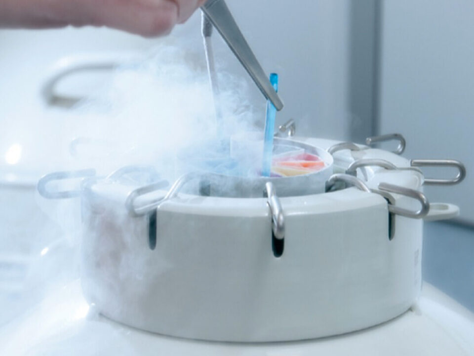 Adopción de embriones