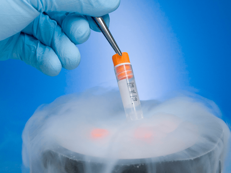 Criopreservación en Cancún