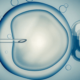 Fertilización In Vitro