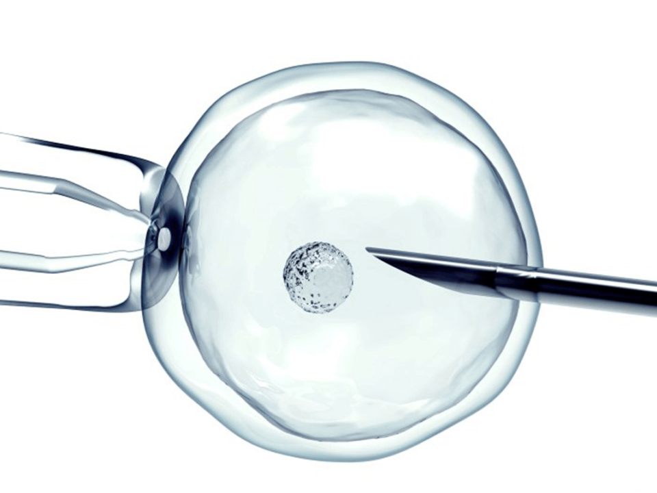 Estudios y tratamientos de fertilidad