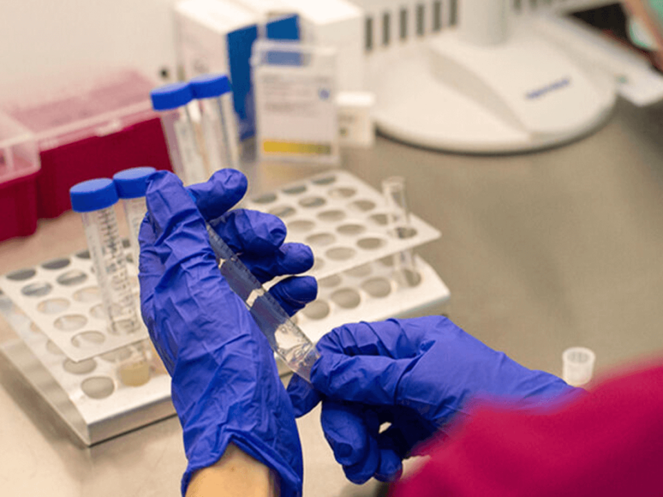 técnicas avanzadas de reproducción asistida