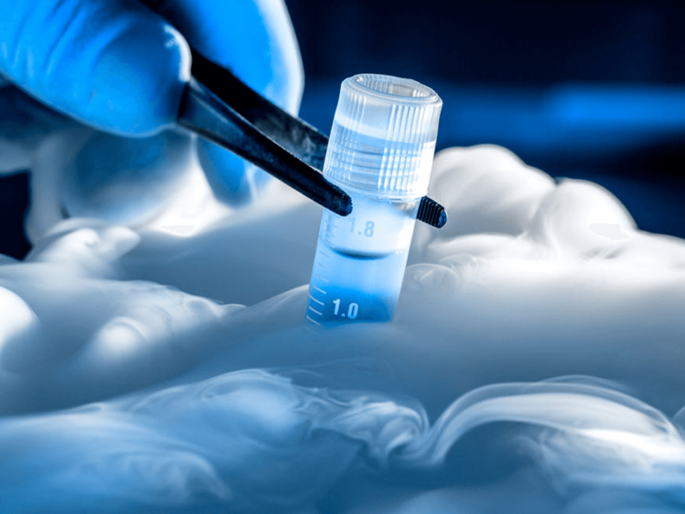 Criopreservación en Cancún