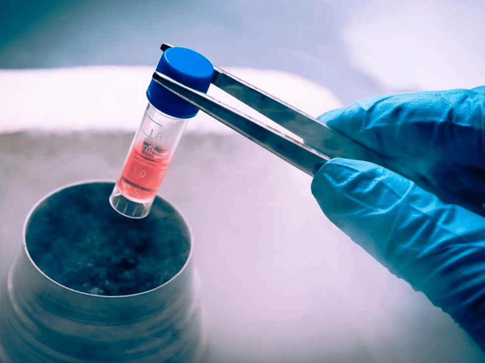 Qué es la criopreservación