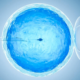 Fertilización In Vitro para parejas
