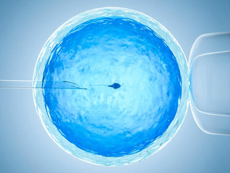 Fertilización In Vitro para parejas