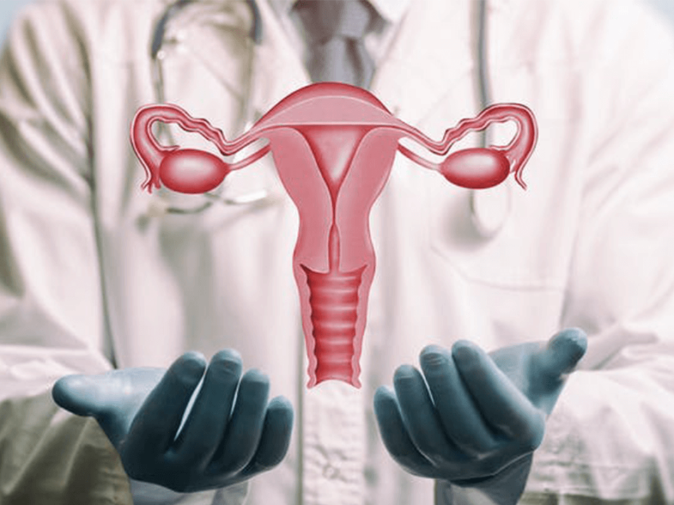 Transplante de útero