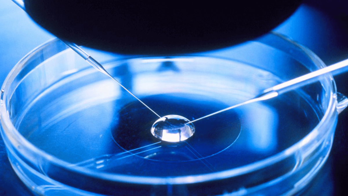 Ventajas de la fertilización in vitro