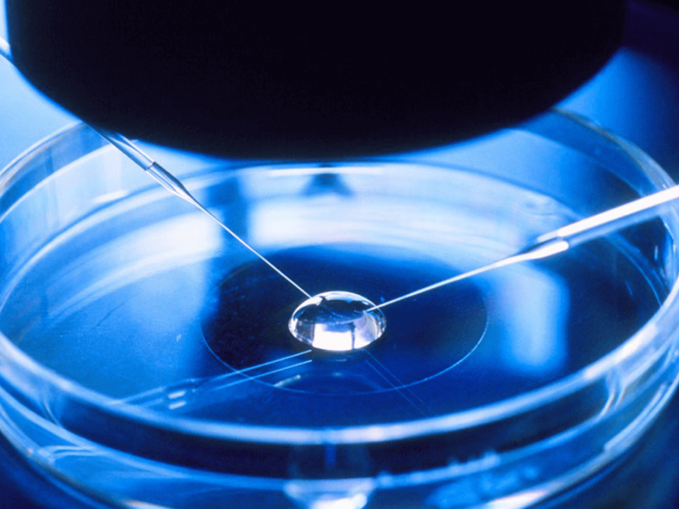 Ventajas de la fertilización in vitro